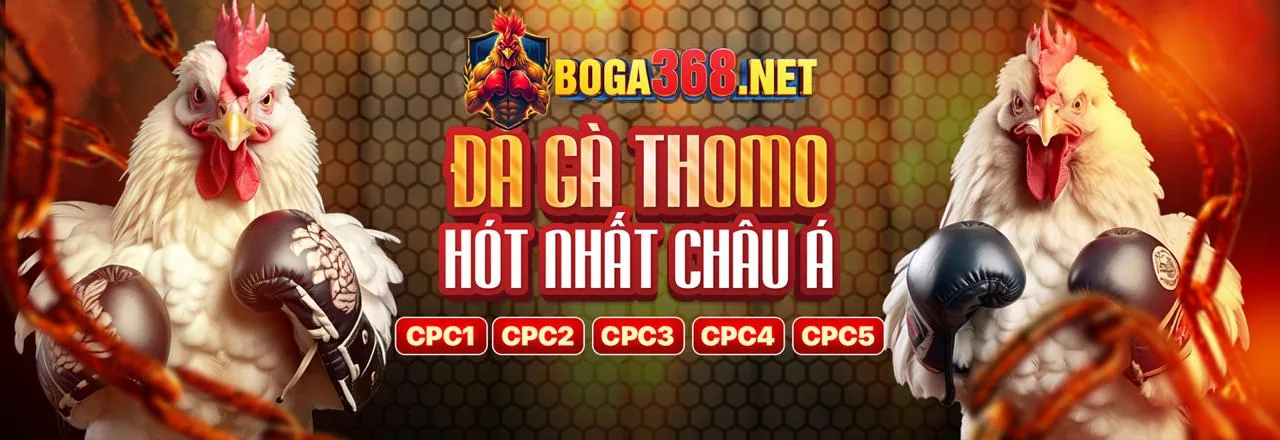 Liên hệ bộ phận hỗ trợ của ee66 chính thức